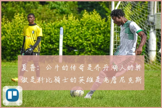 夏普：公牛的传奇是乔丹湖人的骄傲是科比骑士的英雄是老詹尼克斯的希望是布伦森