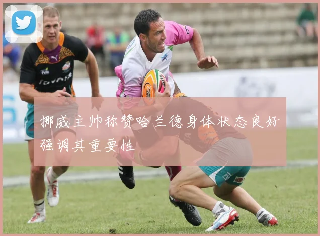 挪威主帅称赞哈兰德身体状态良好强调其重要性