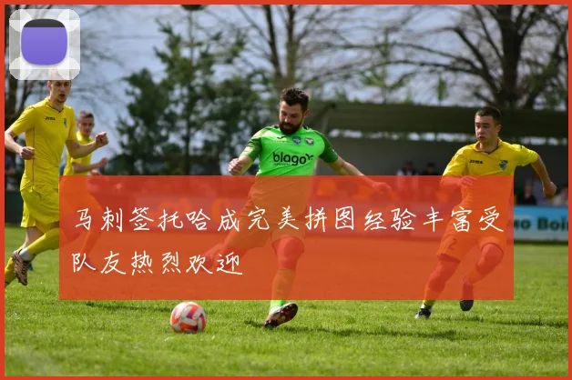 马刺签托哈成完美拼图经验丰富受队友热烈欢迎